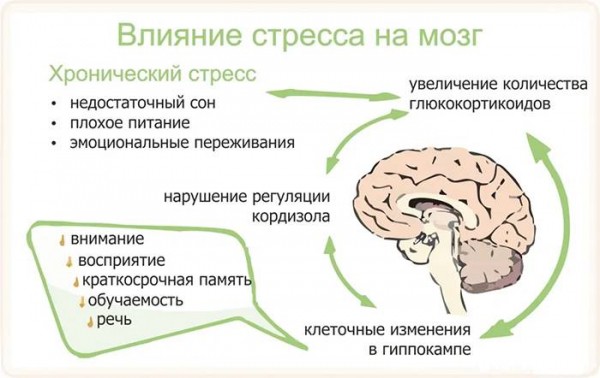 10 неожиданных симптомов стресса