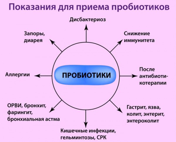 Чем полезен чайный гриб