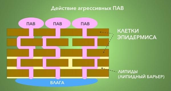 Профессиональный уход за волосами: косметика, маски, шампуни, народные средства. Правила ухода