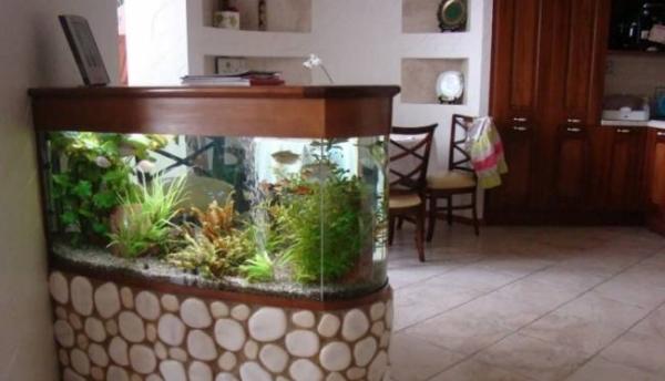 Как аквариум по фэн-шуй может улучшить энергетику вашего дома