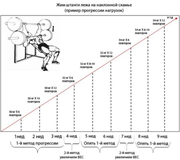 Жим Арнольда с гантелями сидя, стоя. Техника выполнения