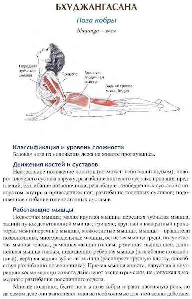 Поза кобры в йоге. Техника выполнения, польза, фото