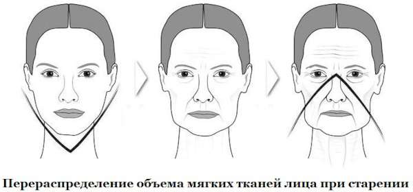 Признаки старения кожи. Первые у женщин, молекулярные и морфологические, лица